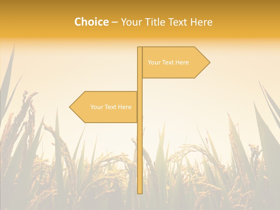Field Nature Flowers PowerPoint Template