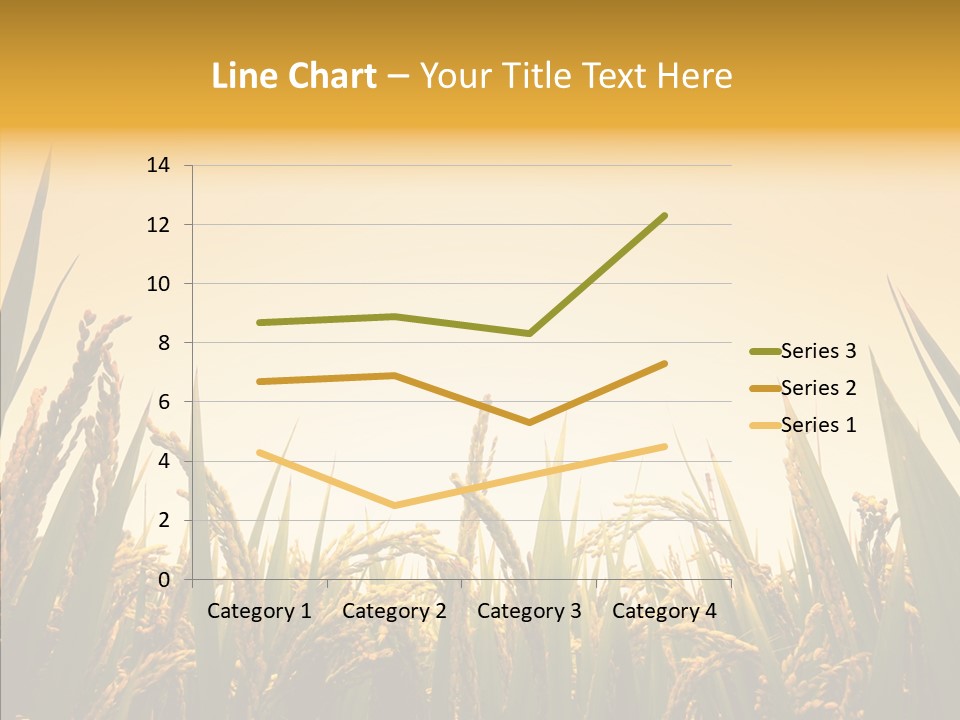 Field Nature Flowers PowerPoint Template