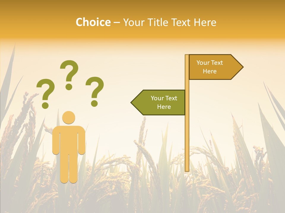 Field Nature Flowers PowerPoint Template