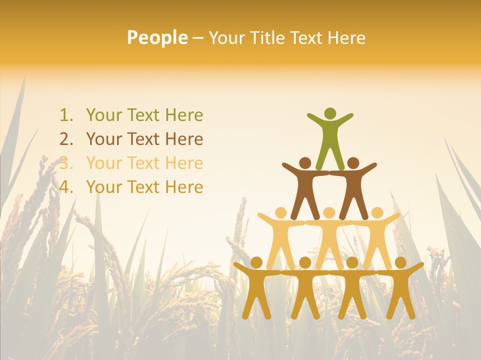 Field Nature Flowers PowerPoint Template