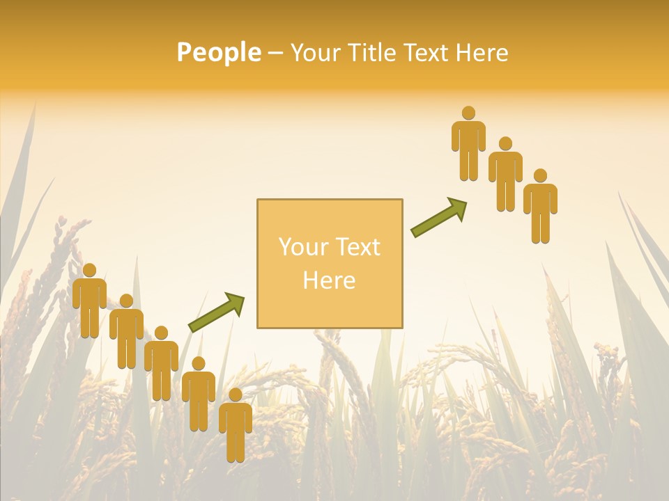 Field Nature Flowers PowerPoint Template