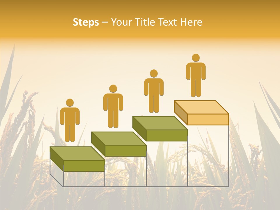 Field Nature Flowers PowerPoint Template