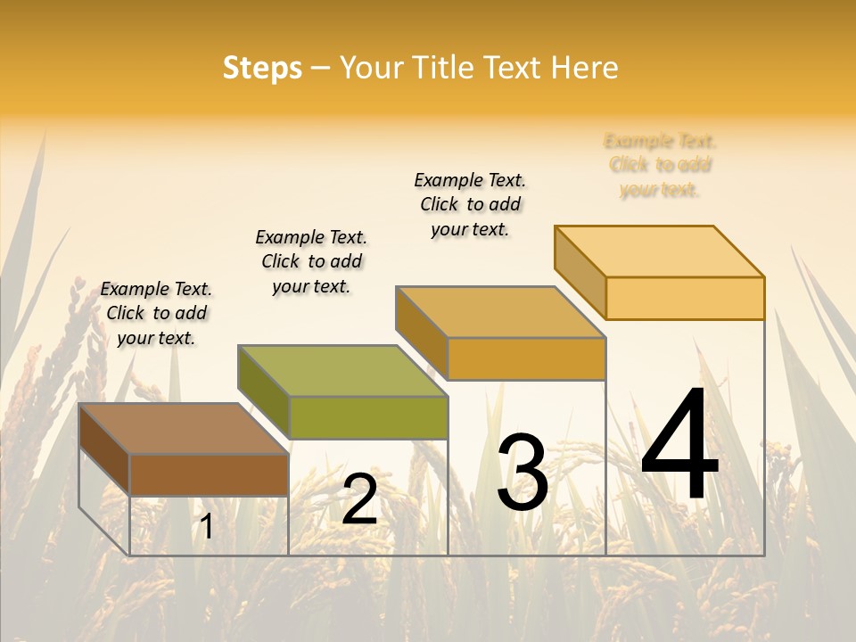 Field Nature Flowers PowerPoint Template