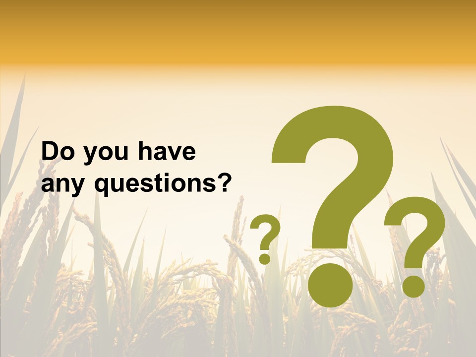 Field Nature Flowers PowerPoint Template