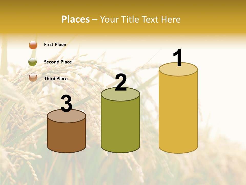 Agriculture Plantation Detail PowerPoint Template