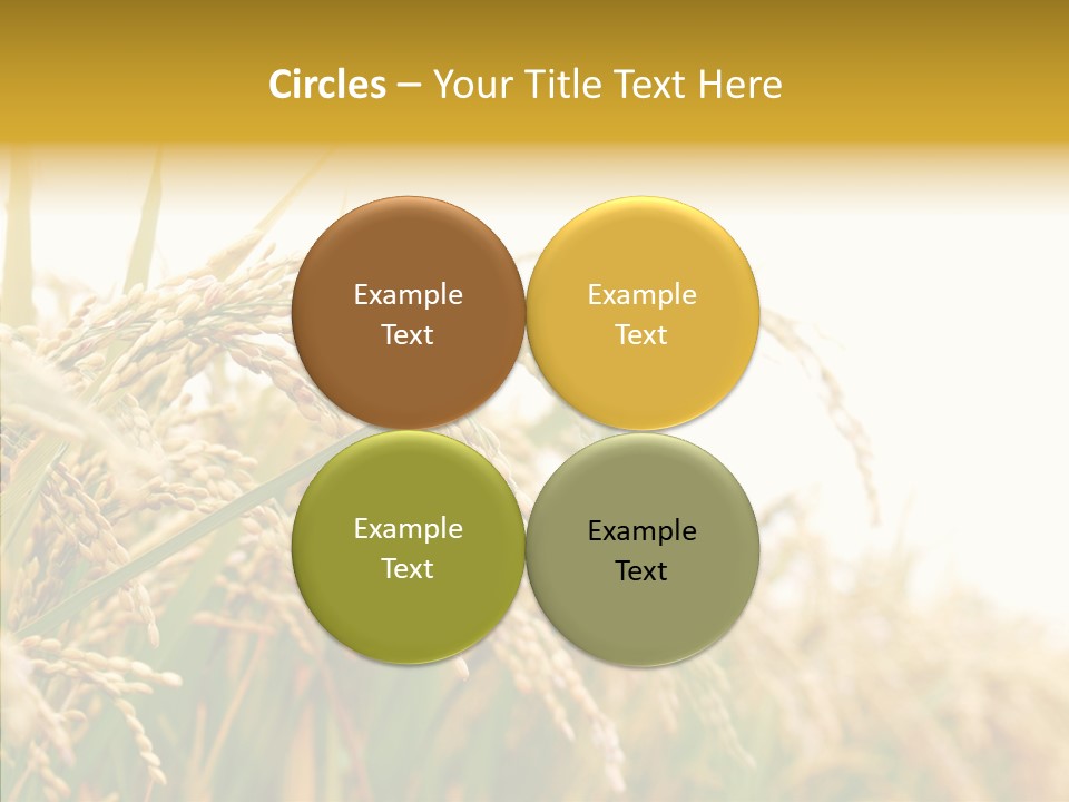 Agriculture Plantation Detail PowerPoint Template