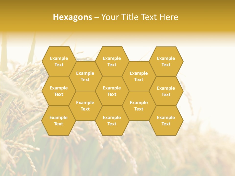 Agriculture Plantation Detail PowerPoint Template