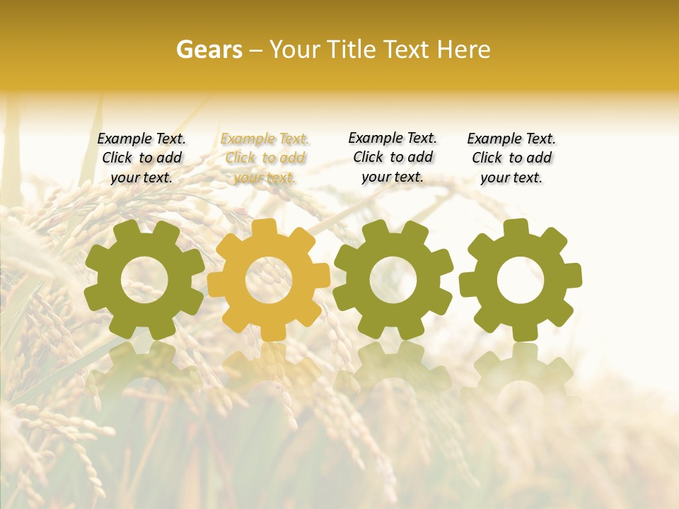 Agriculture Plantation Detail PowerPoint Template