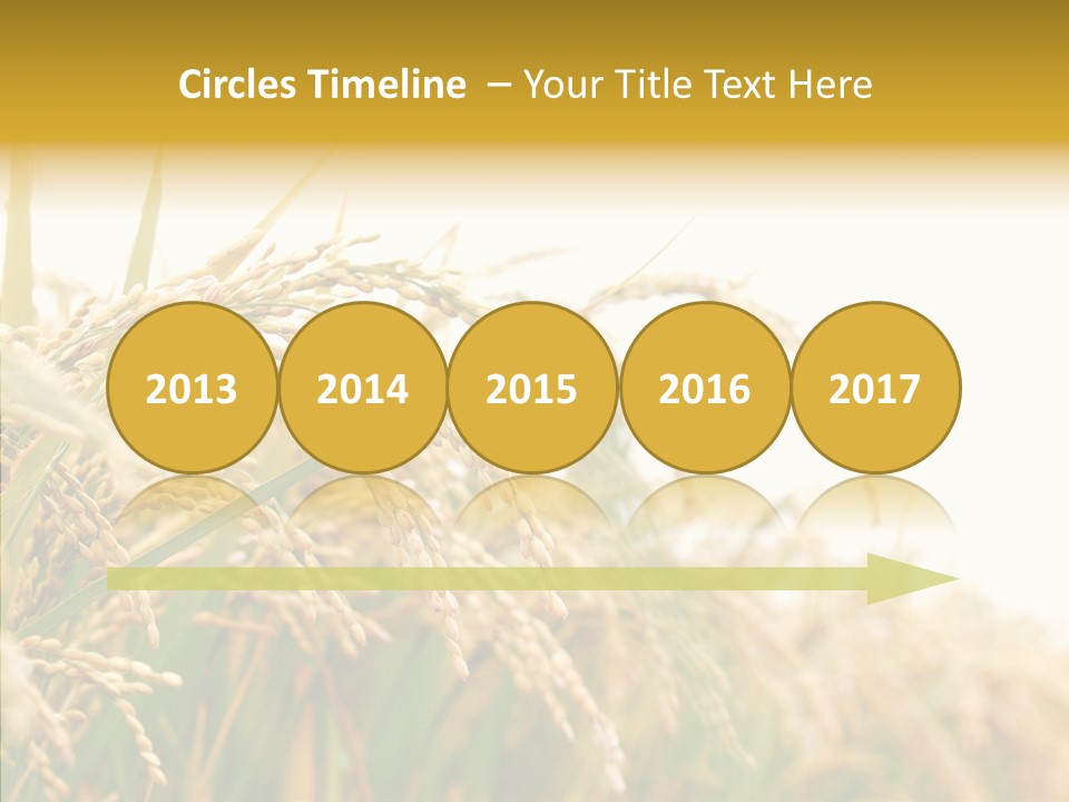 Agriculture Plantation Detail PowerPoint Template