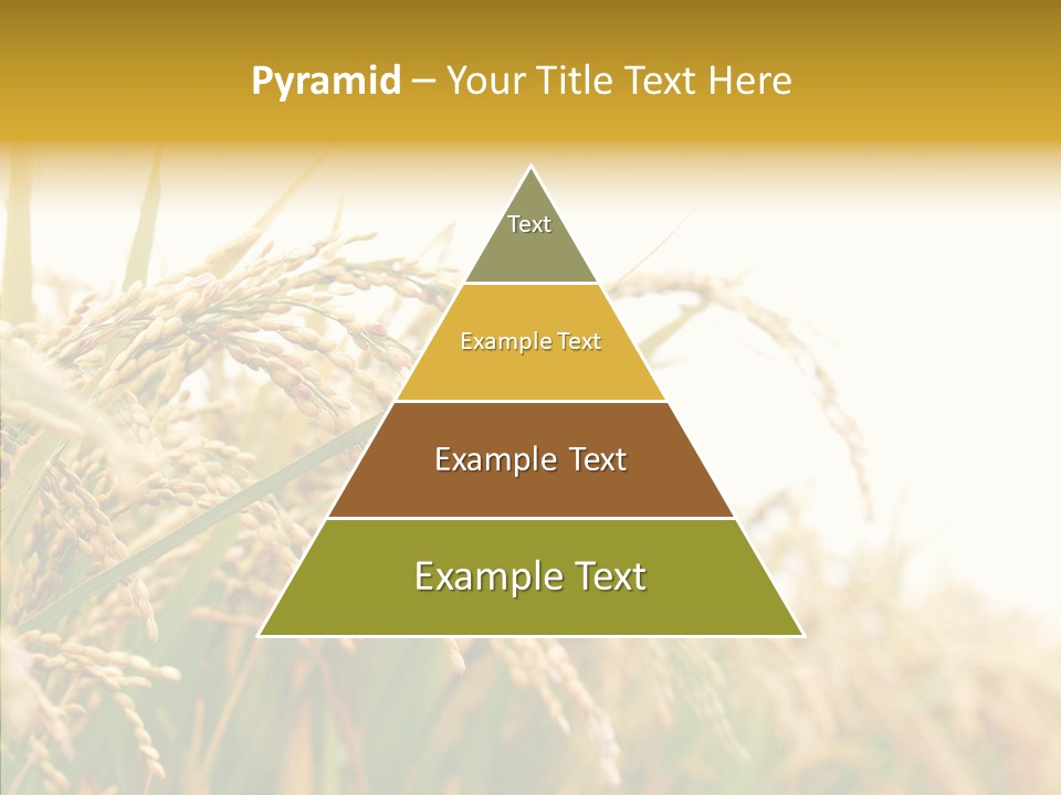 Agriculture Plantation Detail PowerPoint Template