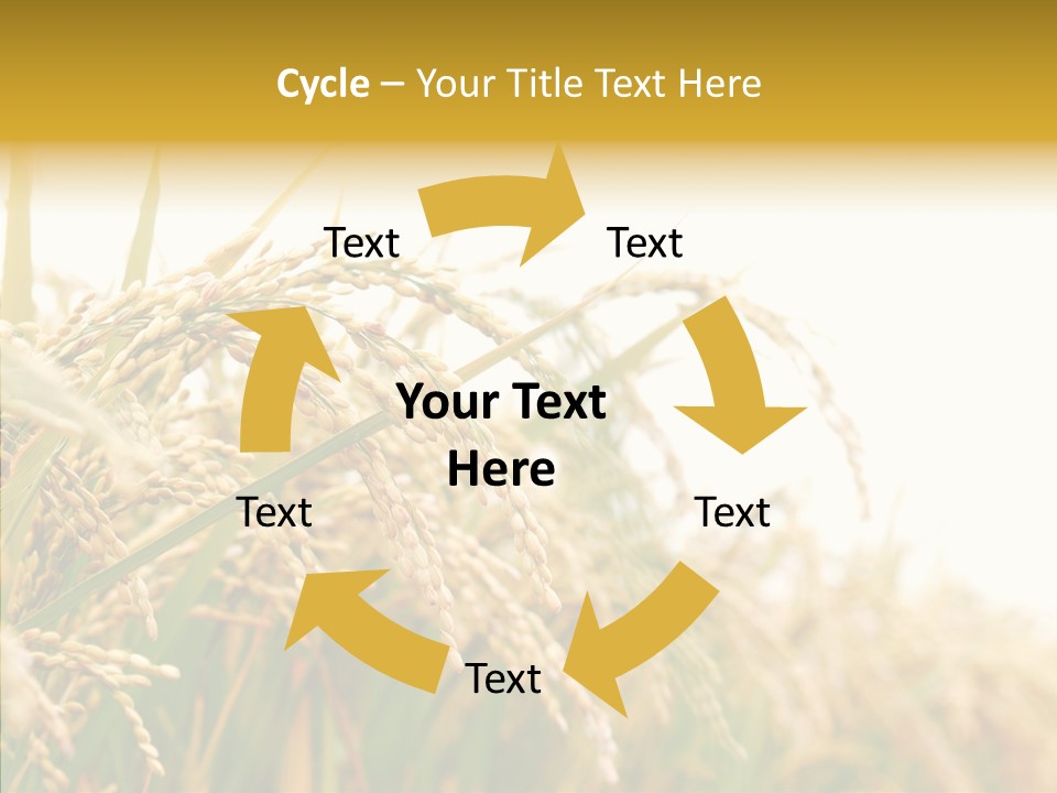 Agriculture Plantation Detail PowerPoint Template