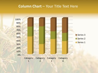 Agriculture Plantation Detail PowerPoint Template