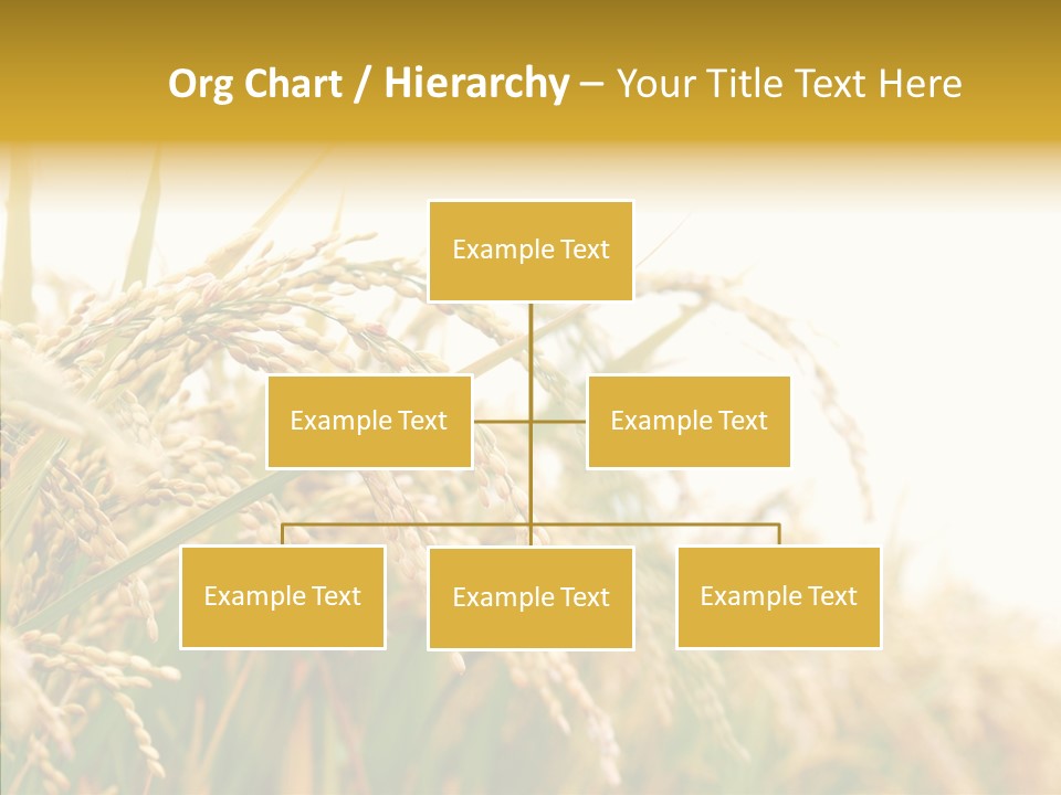 Agriculture Plantation Detail PowerPoint Template