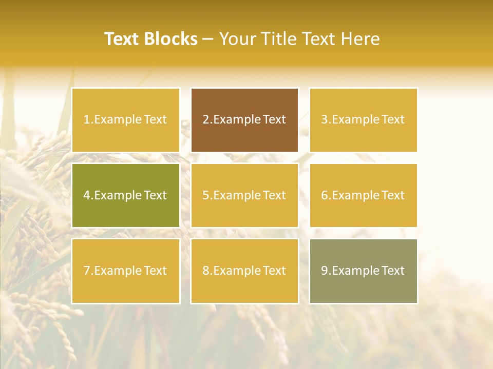 Agriculture Plantation Detail PowerPoint Template