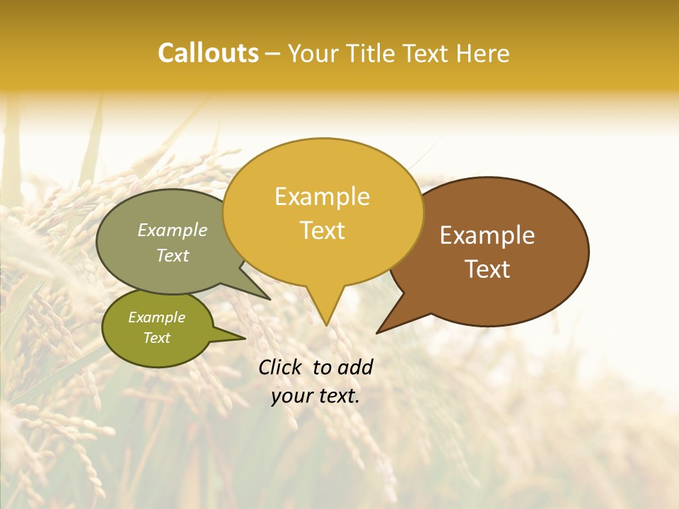 Agriculture Plantation Detail PowerPoint Template