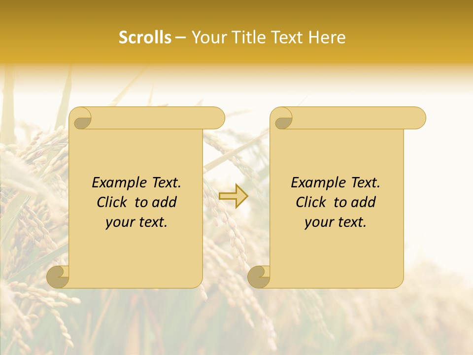 Agriculture Plantation Detail PowerPoint Template