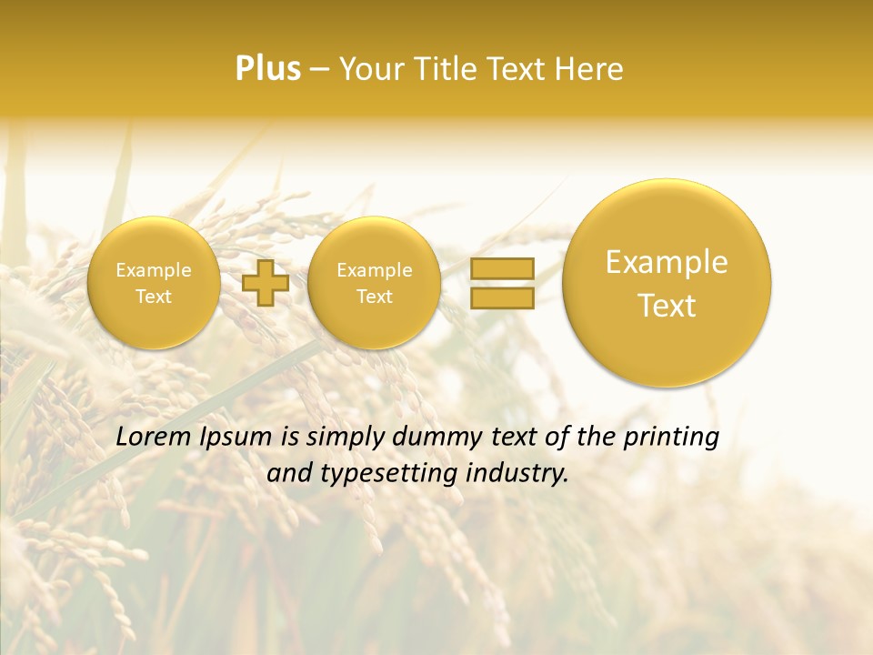 Agriculture Plantation Detail PowerPoint Template