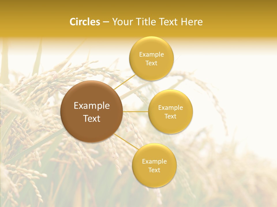 Agriculture Plantation Detail PowerPoint Template