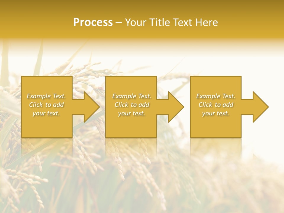 Agriculture Plantation Detail PowerPoint Template