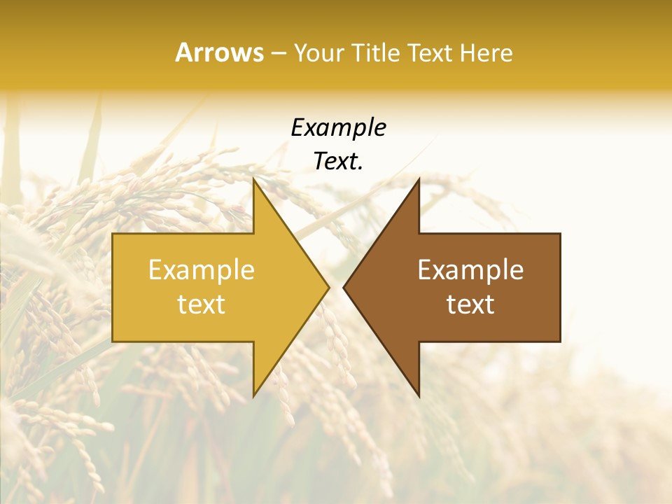 Agriculture Plantation Detail PowerPoint Template