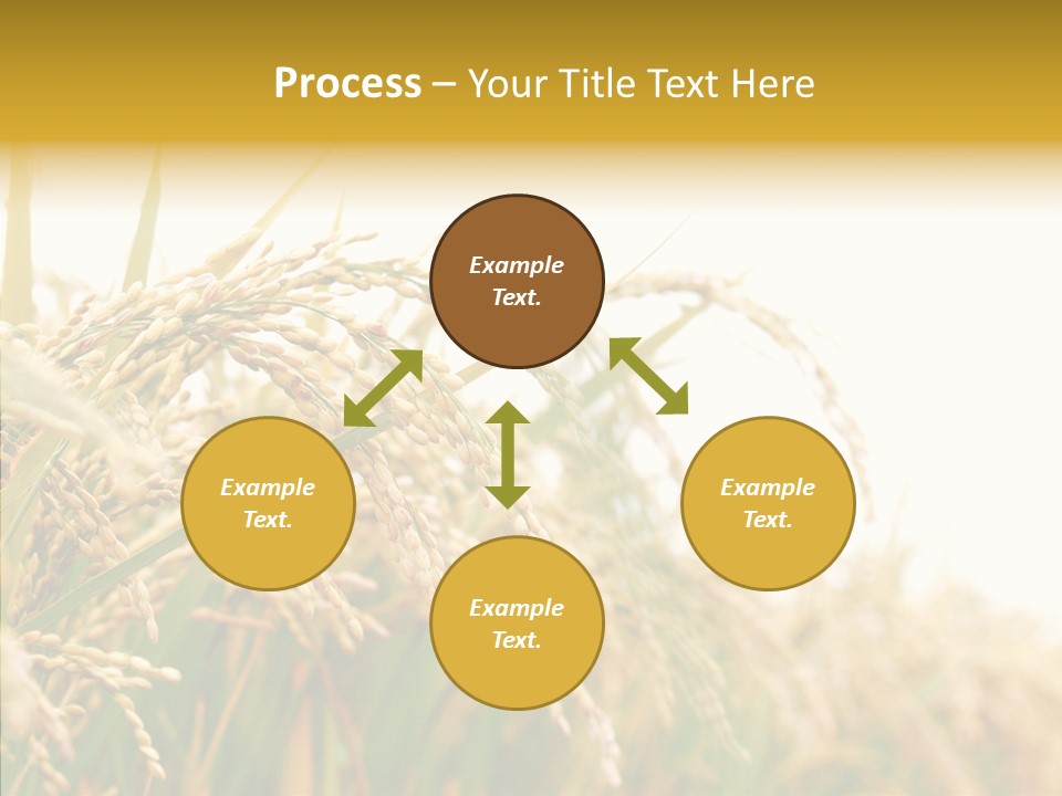 Agriculture Plantation Detail PowerPoint Template