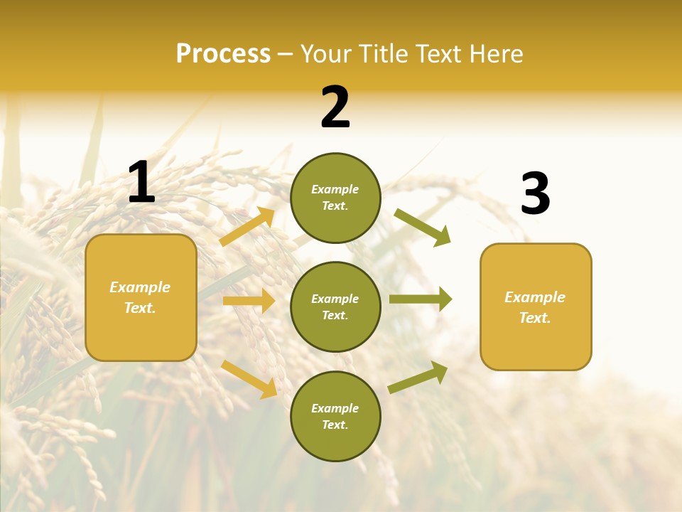 Agriculture Plantation Detail PowerPoint Template