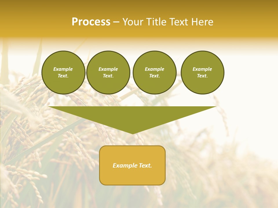 Agriculture Plantation Detail PowerPoint Template
