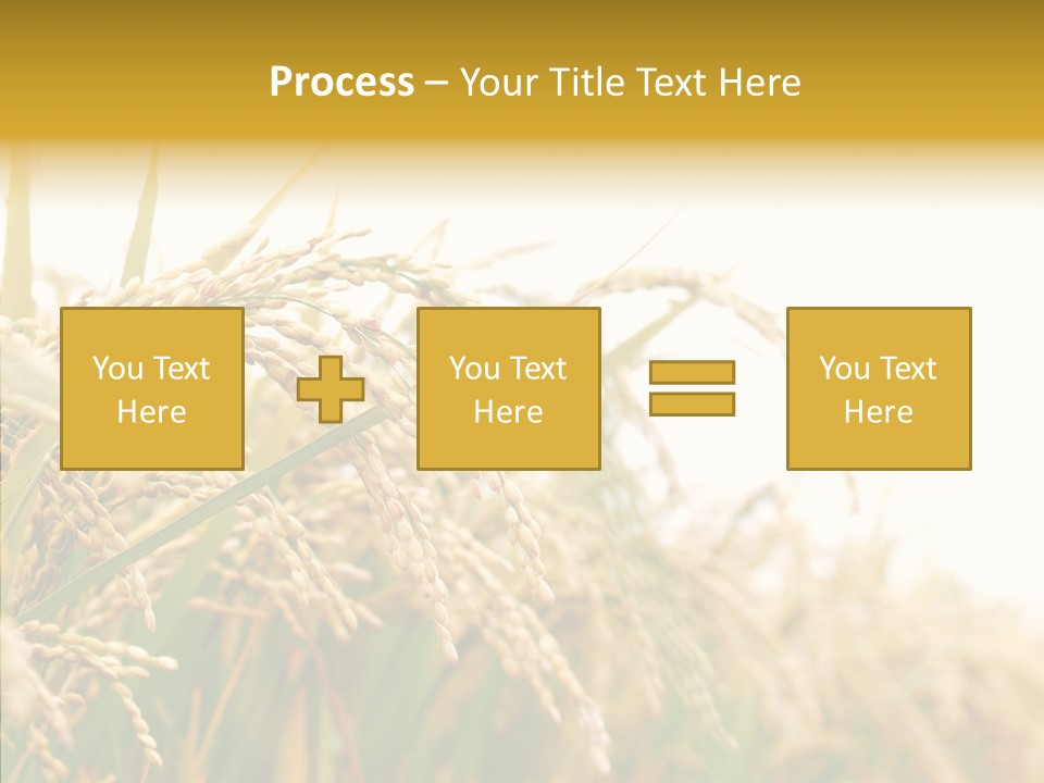 Agriculture Plantation Detail PowerPoint Template