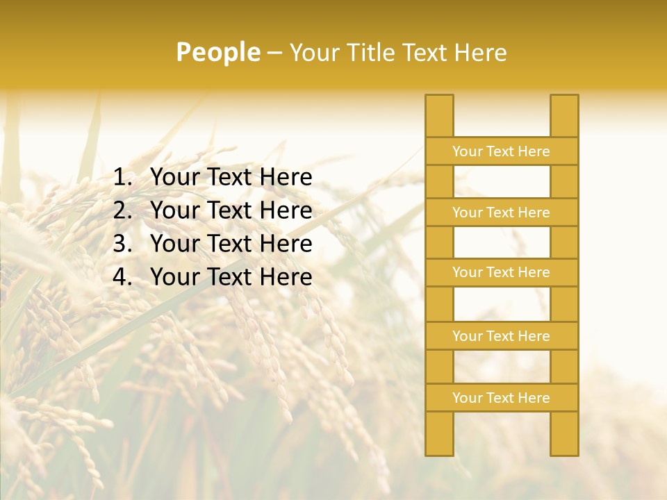 Agriculture Plantation Detail PowerPoint Template