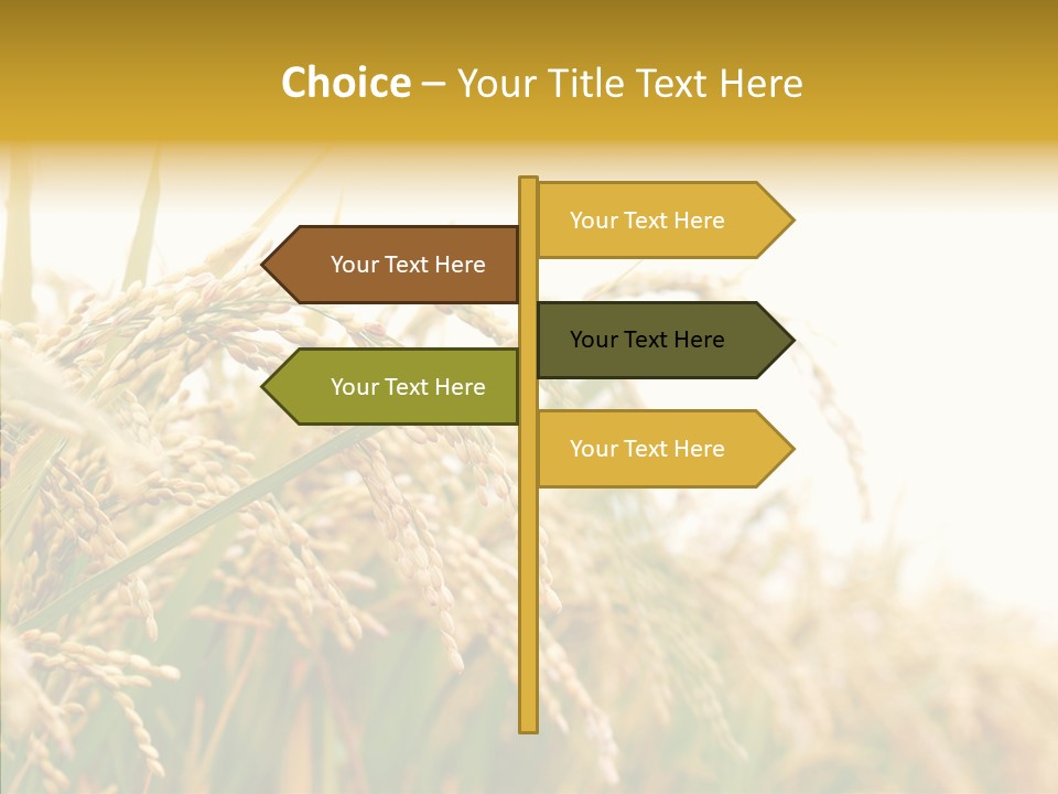 Agriculture Plantation Detail PowerPoint Template