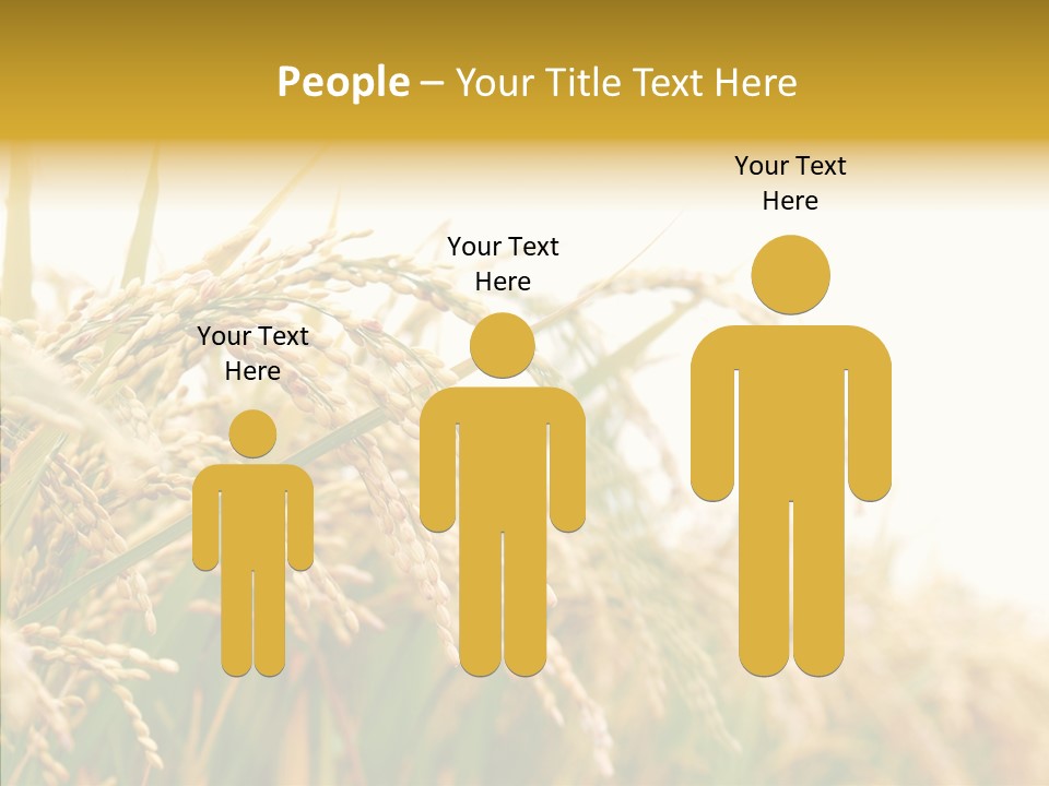 Agriculture Plantation Detail PowerPoint Template