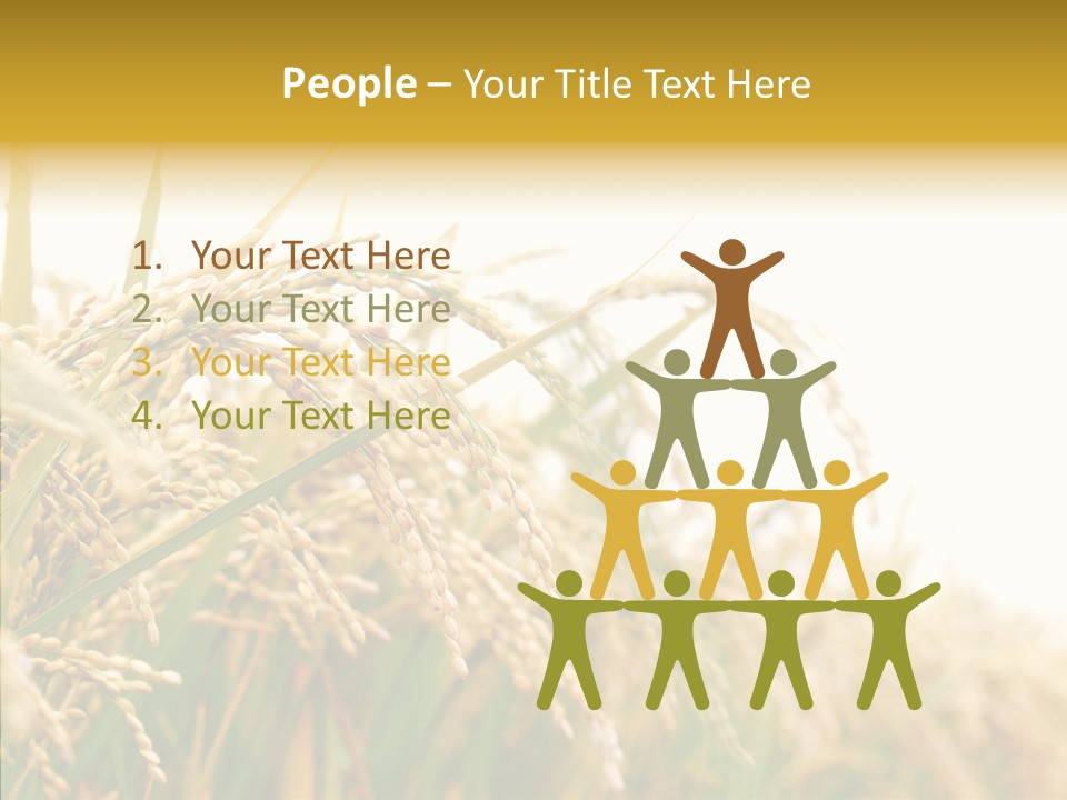 Agriculture Plantation Detail PowerPoint Template