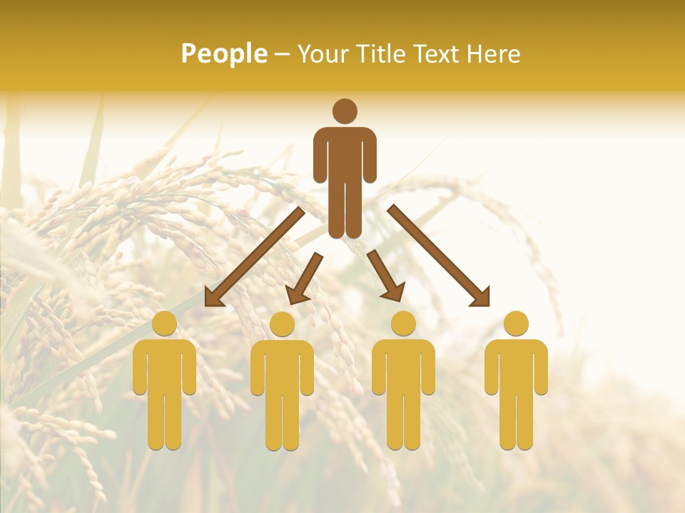 Agriculture Plantation Detail PowerPoint Template