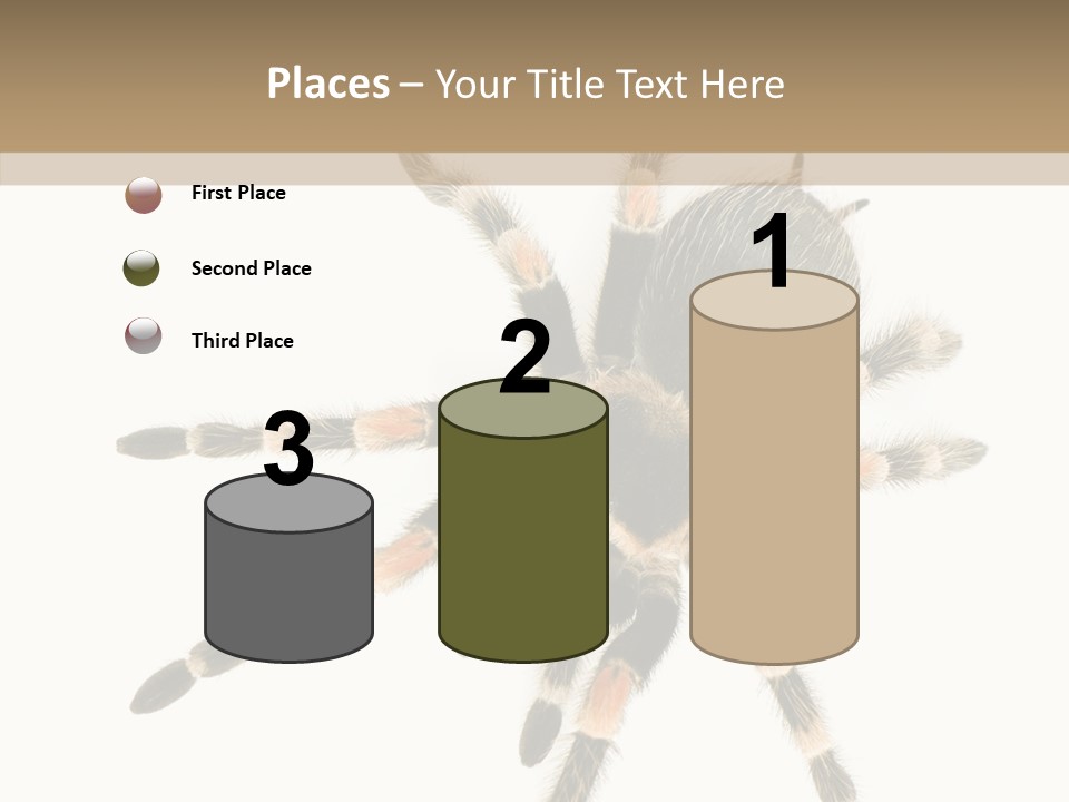 Arachnid Wild Poisonous PowerPoint Template