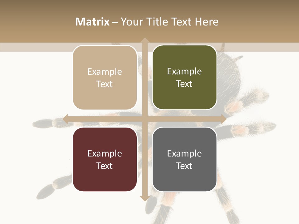 Arachnid Wild Poisonous PowerPoint Template