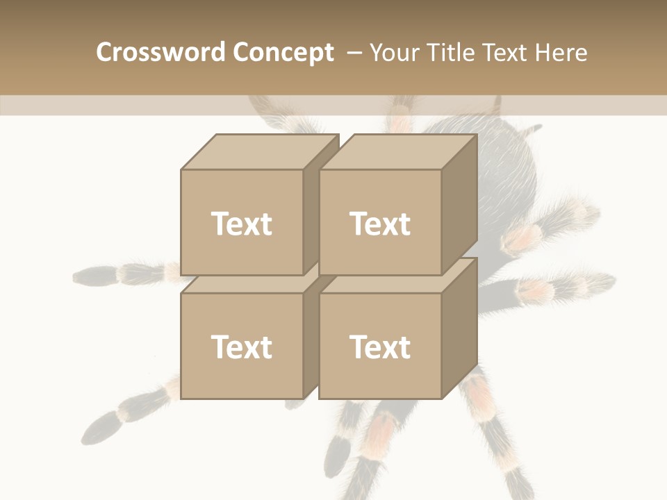 Arachnid Wild Poisonous PowerPoint Template