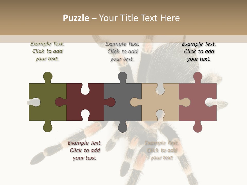 Arachnid Wild Poisonous PowerPoint Template