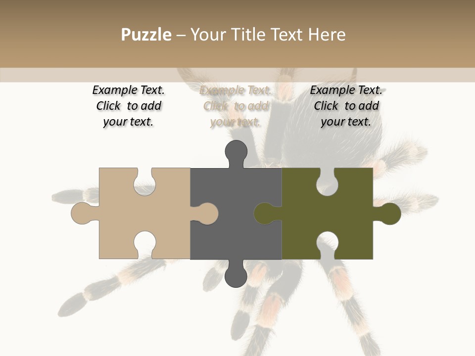 Arachnid Wild Poisonous PowerPoint Template