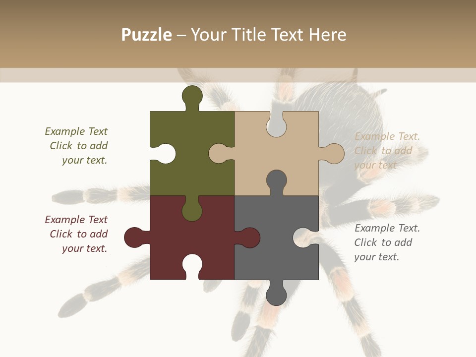 Arachnid Wild Poisonous PowerPoint Template