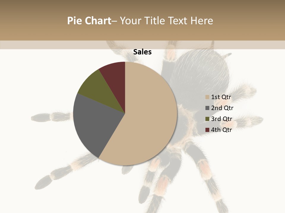 Arachnid Wild Poisonous PowerPoint Template