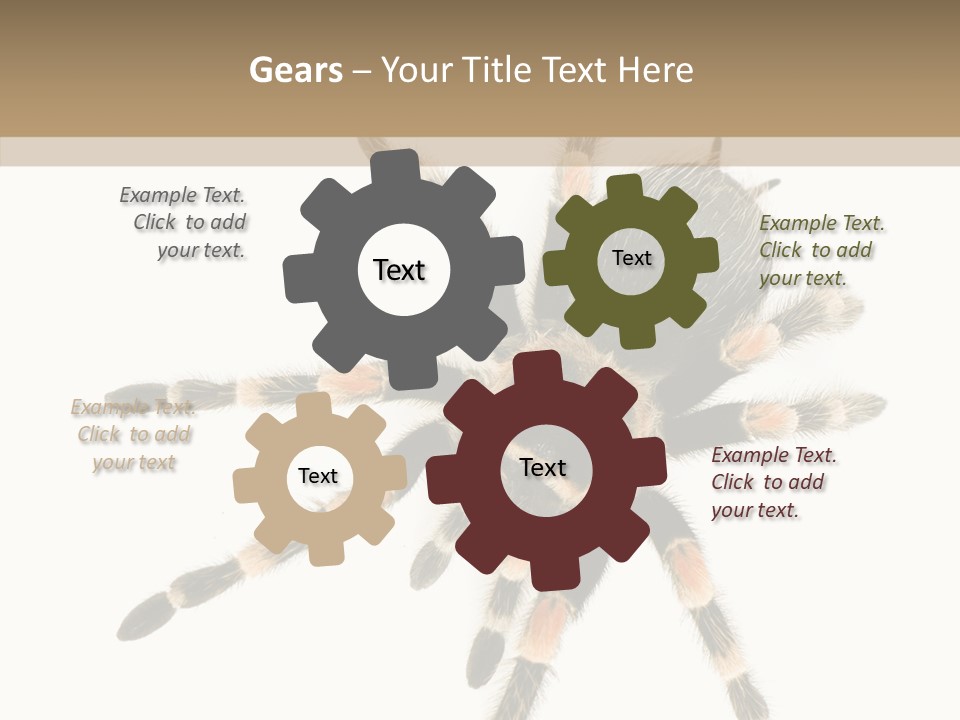 Arachnid Wild Poisonous PowerPoint Template