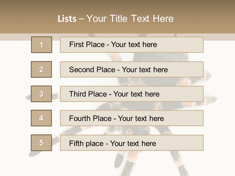 Arachnid Wild Poisonous PowerPoint Template