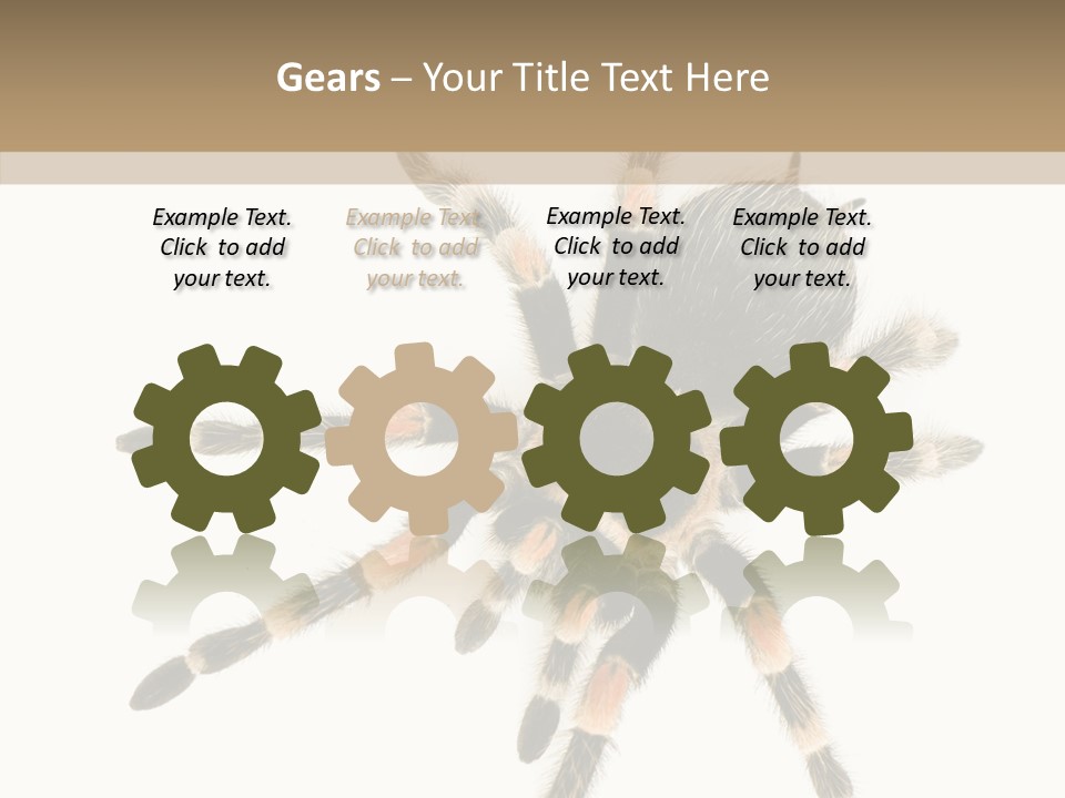 Arachnid Wild Poisonous PowerPoint Template