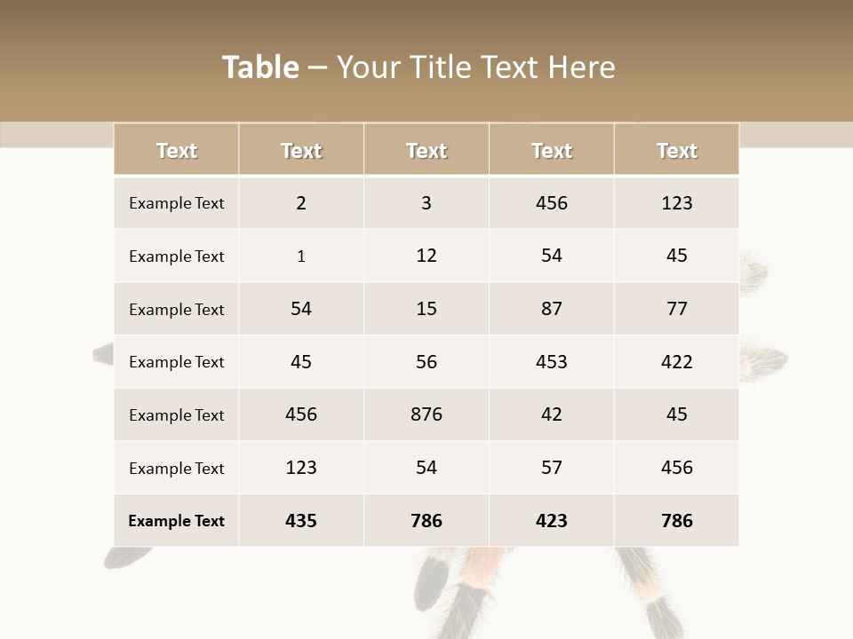 Arachnid Wild Poisonous PowerPoint Template