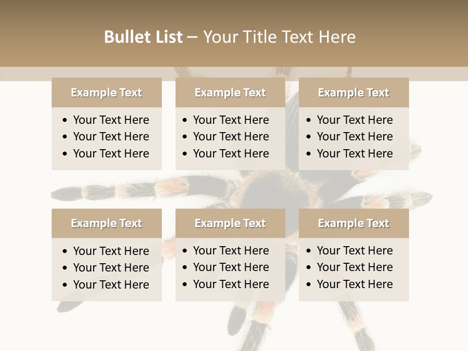 Arachnid Wild Poisonous PowerPoint Template