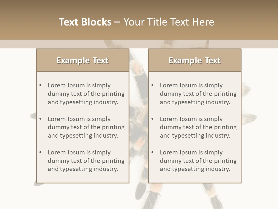 Arachnid Wild Poisonous PowerPoint Template