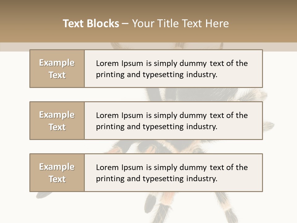 Arachnid Wild Poisonous PowerPoint Template