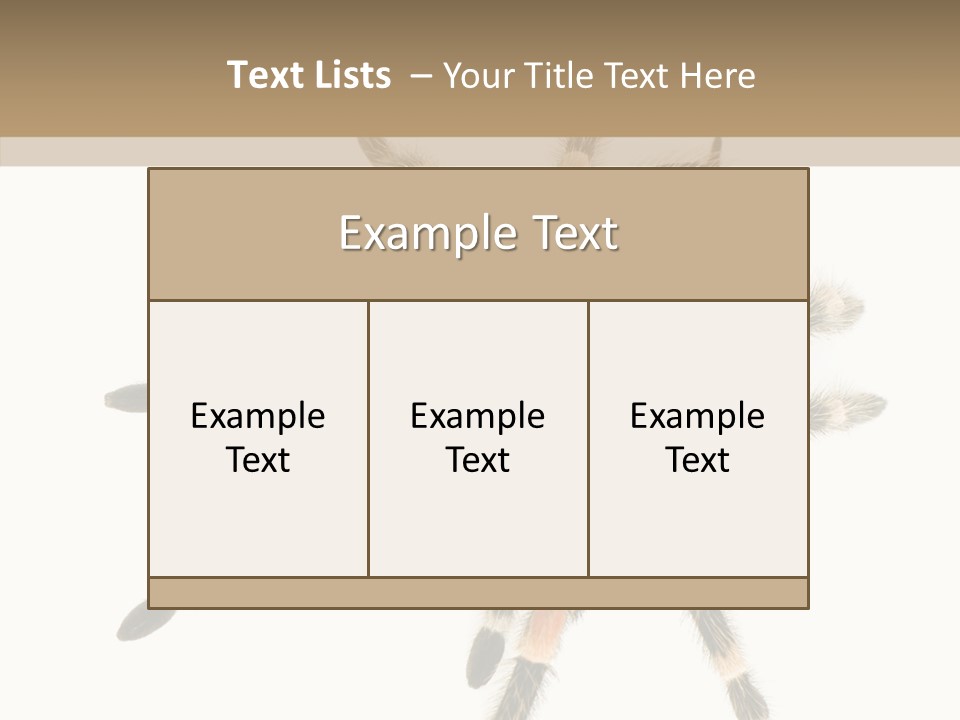 Arachnid Wild Poisonous PowerPoint Template