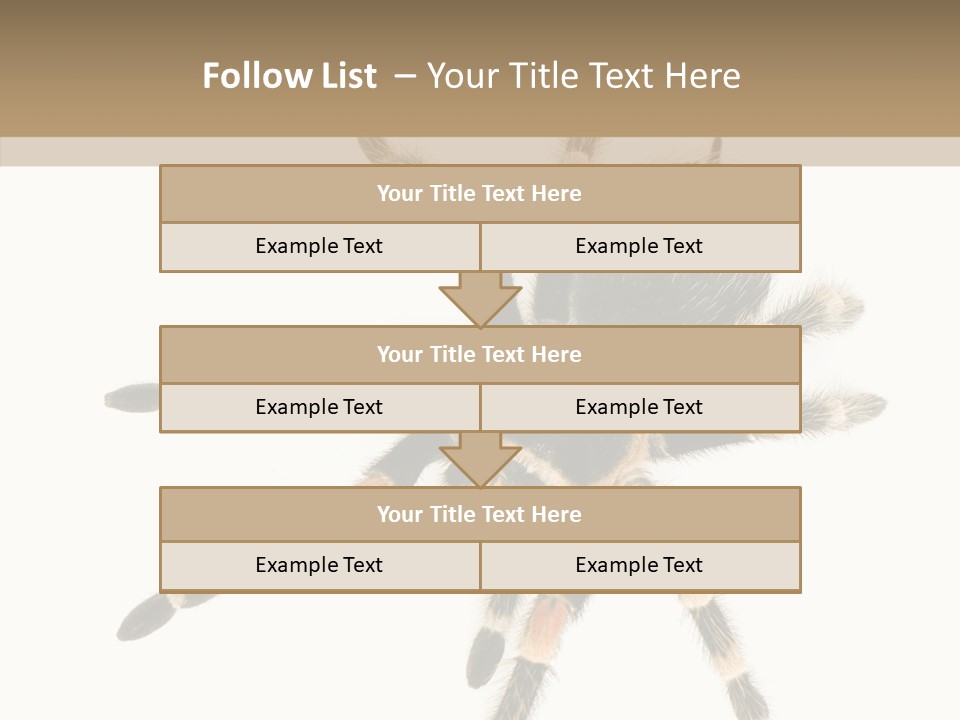 Arachnid Wild Poisonous PowerPoint Template
