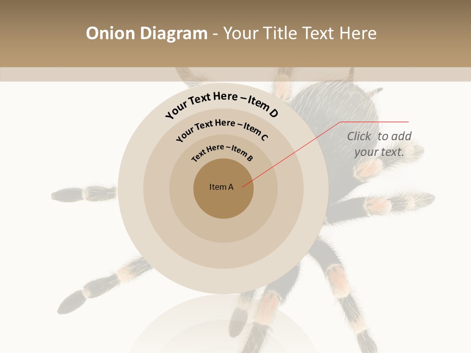 Arachnid Wild Poisonous PowerPoint Template